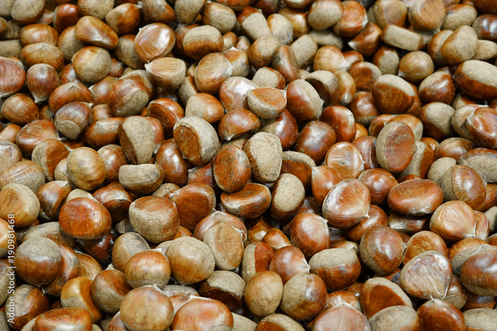 Top view of chestnut pile in the harvest season Top view of chestnut pile in the harvest season