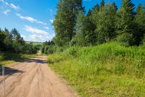 Nice summer scene with track road turn near green Falevsky mounds © Konstantin