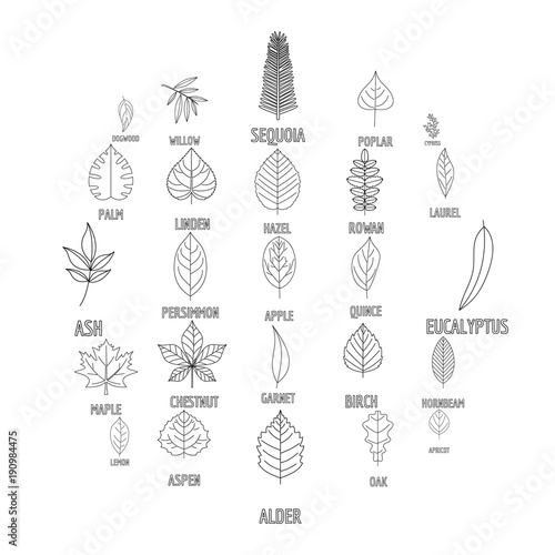 Leaf icons set. Outline illustration of 25 leaf vector icons for web