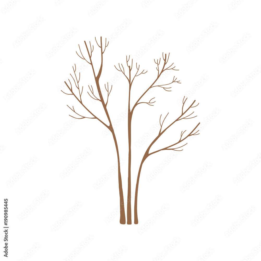 Illustration of tree