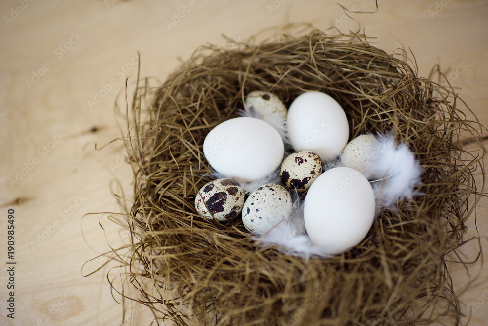 Obraz premium Raw eggs in a nest. Top view