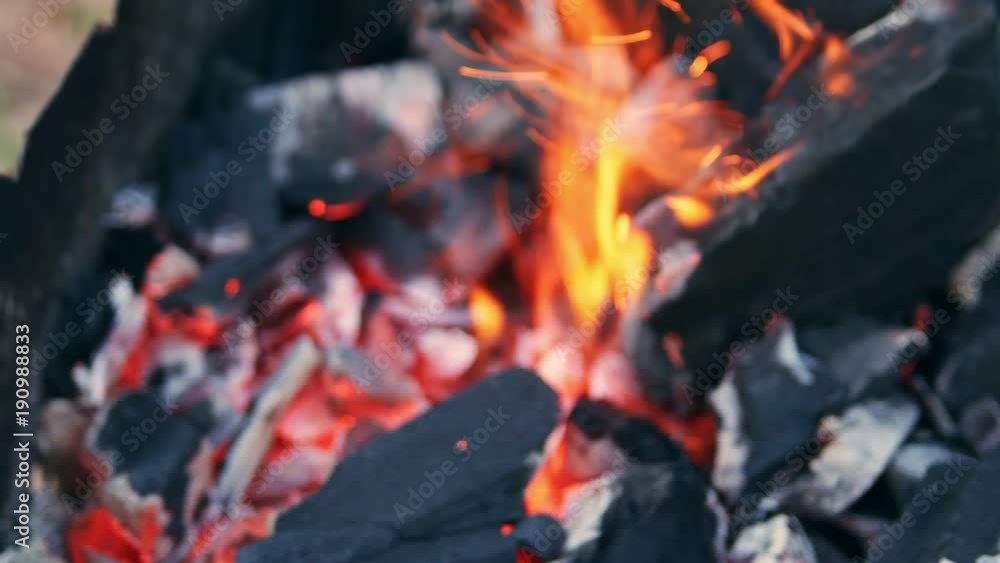 Coal burning in a brazier grill bbq. We have to cook meat, fish, sweet hot pepper, cutlet and sausages on these coals. The action takes place on a picnic. Coal burning in a brazier grill bbq. We have to cook meat, fish, sweet hot pepper, cutlet and sausages on these coals. The action takes place on a picnic.