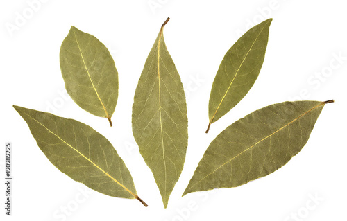 Bay leaves isolated on white background © Роман Фернаті