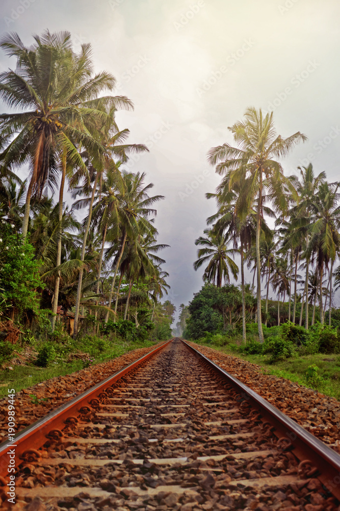 Railway through the jungle. Evening scenery in Sri Lanka. Railway through the jungle. Evening scenery in Sri Lanka.
