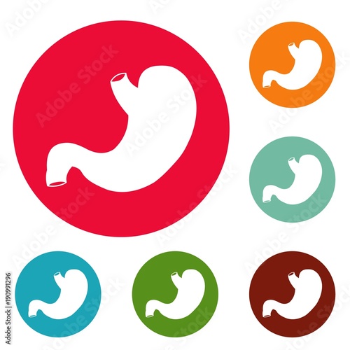 Stomach icons circle set vector isolated on white background