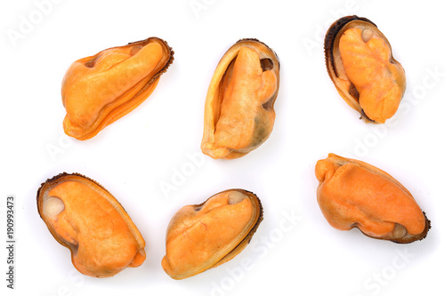 mussels isolated on white background. Top view. Flat lay