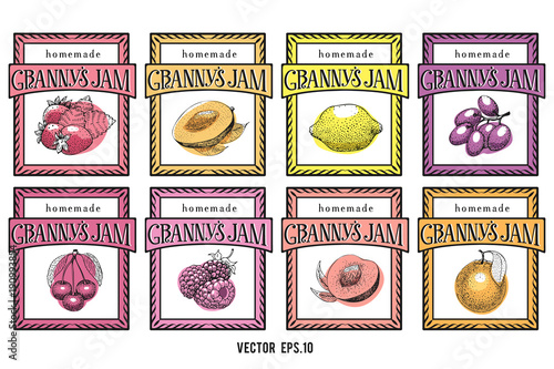 Berry and fruit labels set. Vintage style design template. Hand drawn vector illustrations.