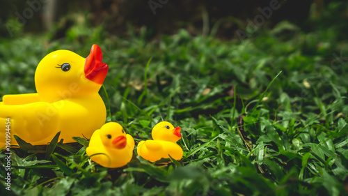 Εκτύπωση καμβά yellow rubber duck and the ducklings with green grass as the background
