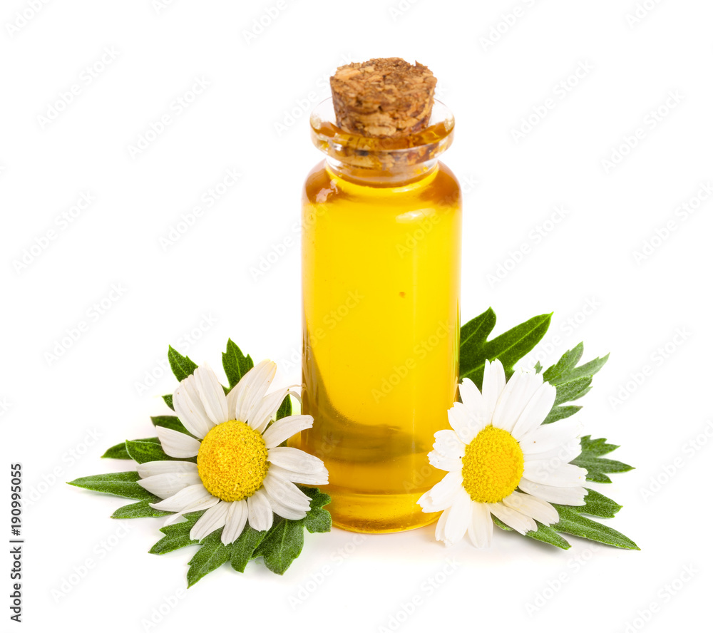 bottle with essential oil and fresh chamomile flowers isolated on white background bottle with essential oil and fresh chamomile flowers isolated on white background