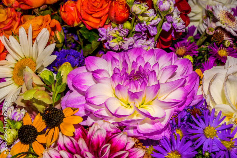 Obraz premium Photo of close-up abstract flower background consist of many flowers