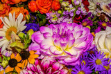 Photo of close-up abstract flower background consist of many flowers