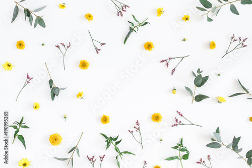 Flowers composition. Round frame made of yellow and pink flowers, eucalyptus branches on white background. Flat lay, top view, copy space