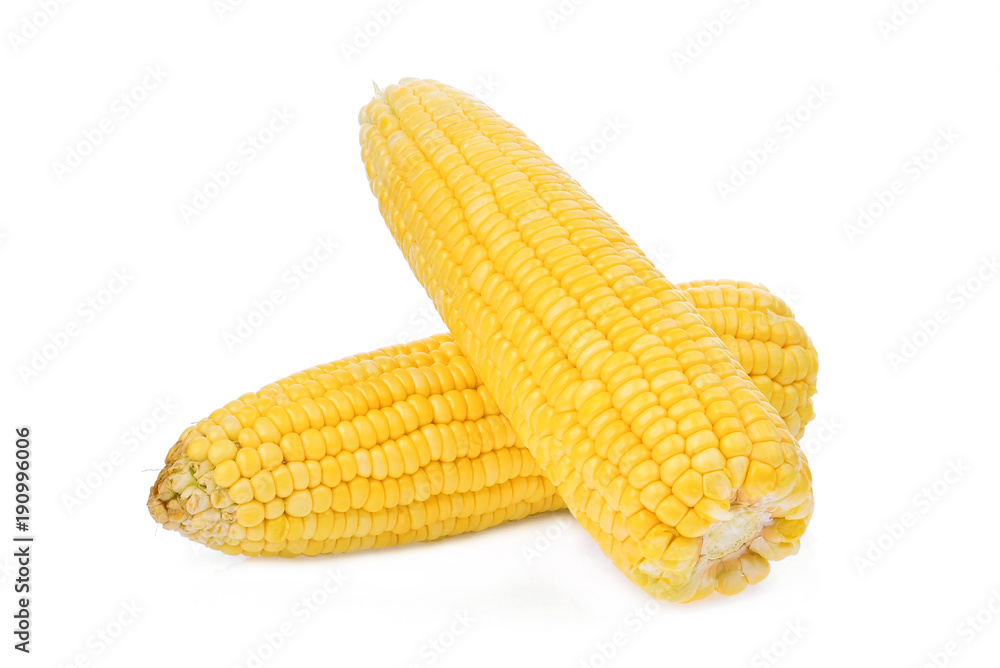 fresh raw corn cob isolated on white background fresh raw corn cob isolated on white background