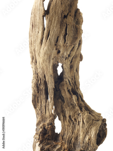 木質木肌