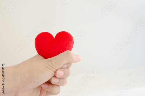 Red heart in hand isolated white background.