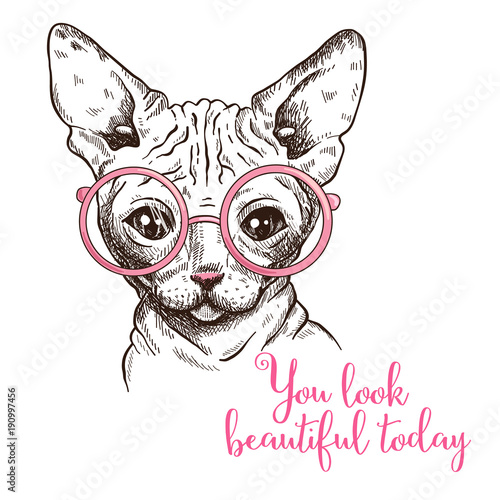 Hand drawn illustration of a sphynx cat in a glasses.