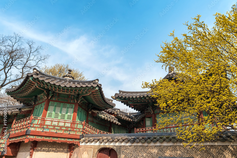 Spring at Changdeokgung Palace, Seoul, South Korea