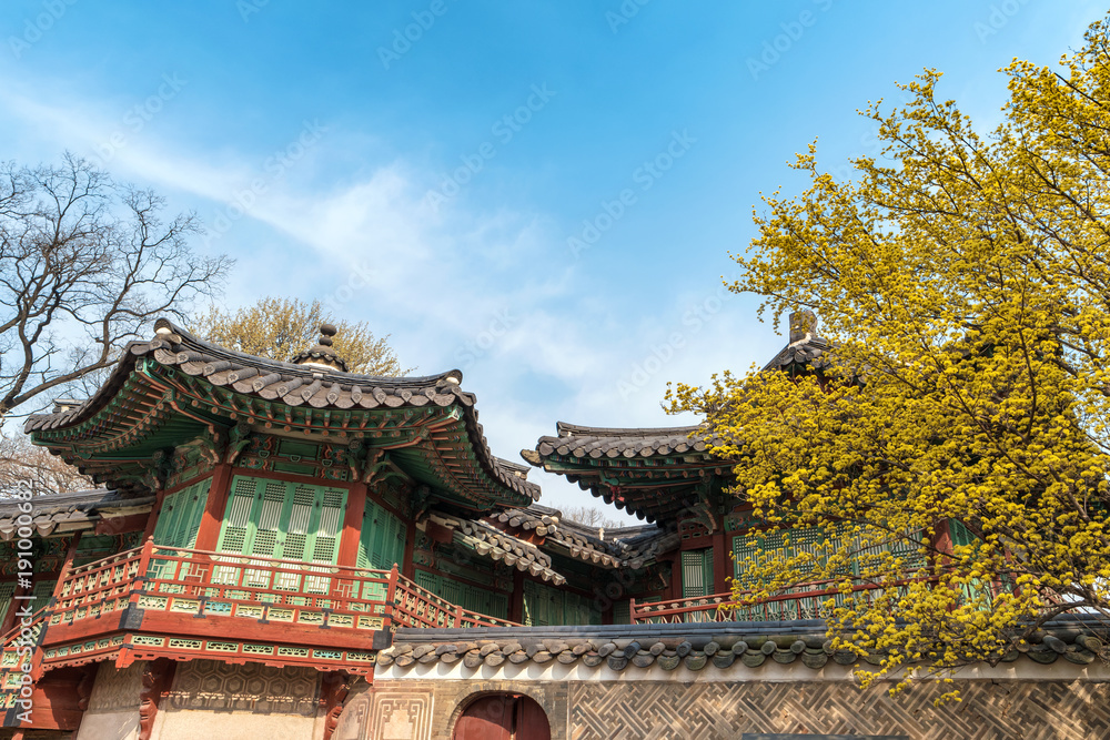 Spring at Changdeokgung Palace, Seoul, South Korea Spring at Changdeokgung Palace, Seoul, South Korea