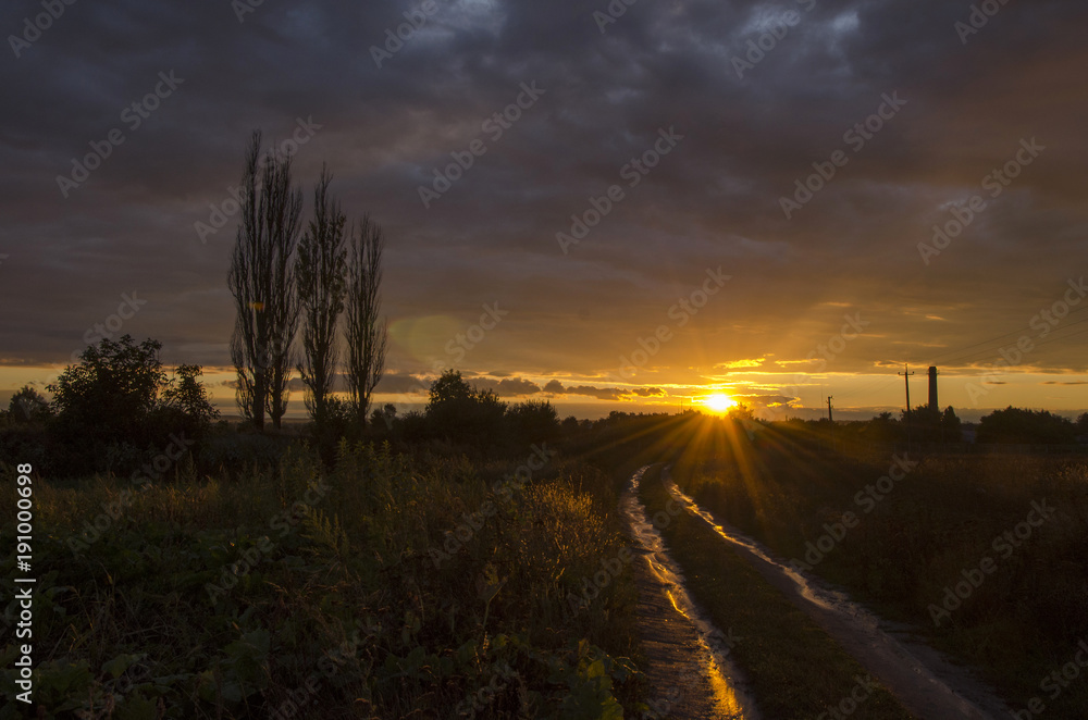 Fototapeta premium Rural road on sunset after rain