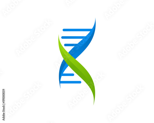 X DNA