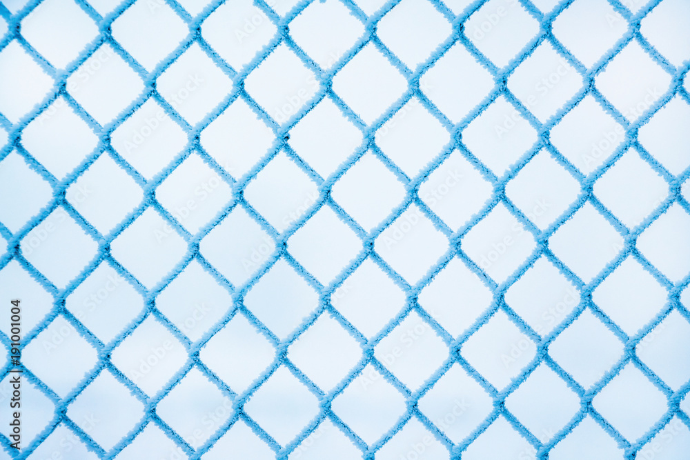 winter, a grid of fence, covered with hoarfrost, a frosty winter day_ winter, a grid of fence, covered with hoarfrost, a frosty winter day_