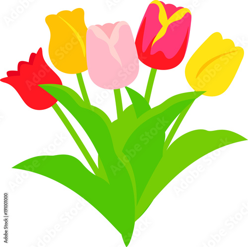 チューリップの花束