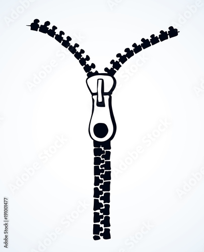 Zipper. Vector drawing