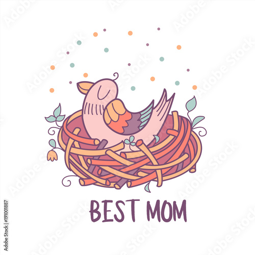 Birds in nests. The flowers and birds. Vector illustration.