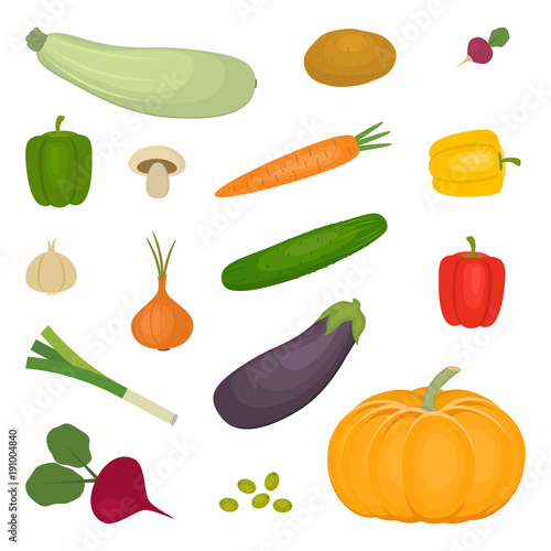 Set of vegetables, isolated on a white background. There is a potato, zucchini, eggplant, cucumber, onion, pumpkin, mushroom, carrot, beet, sweet pepper, radishes in the picture. Vector illustration.