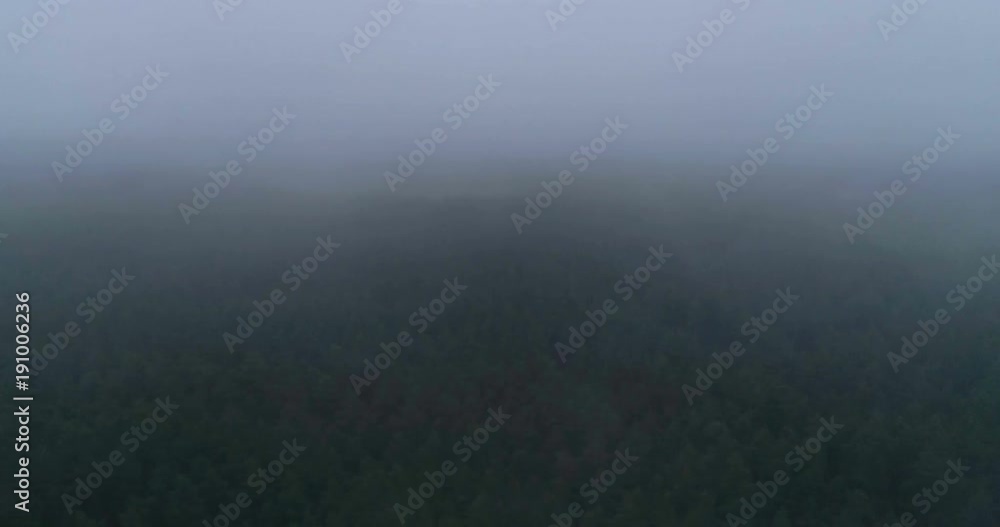 Flying over landscape of dense forest covered with fog Flying over landscape of dense forest covered with fog