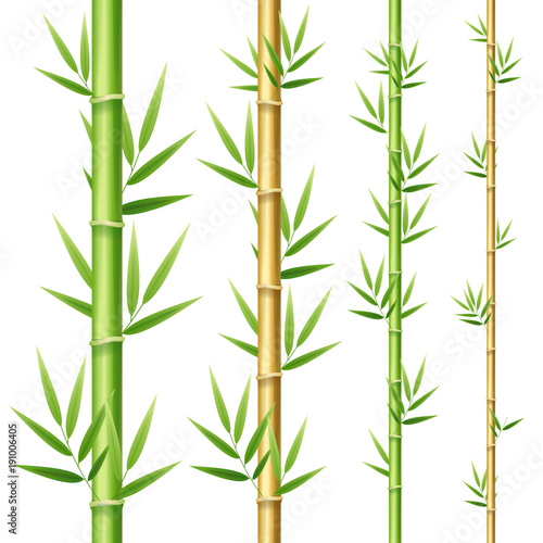 Realistic 3d Detailed Bamboo Shoots Set. Vector