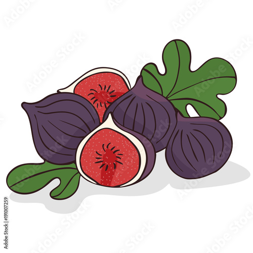 Isolate ripe figs or fig fruits on white background. Close up clipart with shadow in flat realistic cartoon style. Hand drawn icon