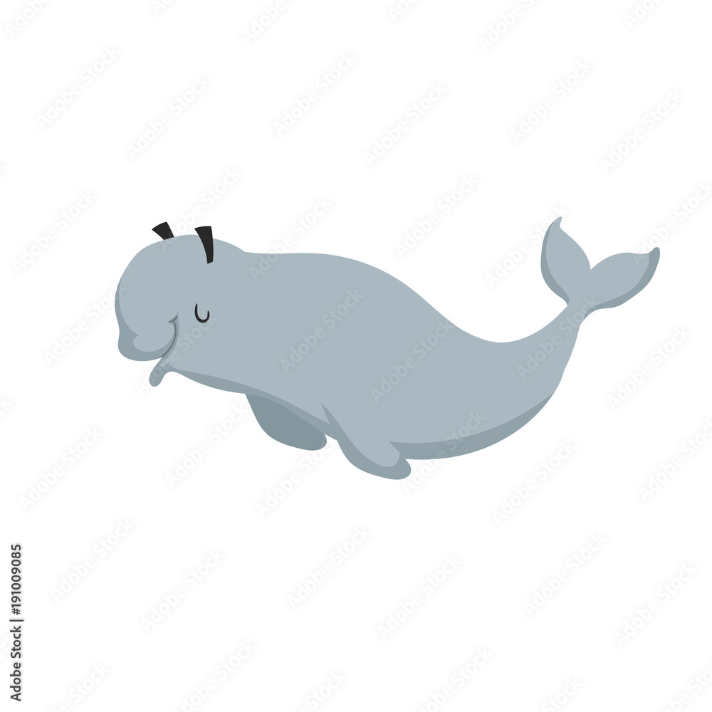Cartoon beluga whale. Trendy design flat icon of polar white whale. Cheerful and closed eyes. Wildlife vector illustration. Cartoon beluga whale. Trendy design flat icon of polar white whale. Cheerful and closed eyes. Wildlife vector illustration.