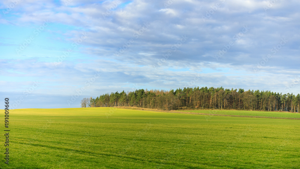The green field at spring time