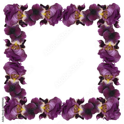 Fototapeta Naklejka Na Ścianę i Meble -  Frame of purple irises