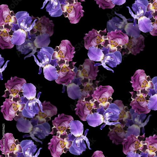 Beautiful floral background of purple and blue irises