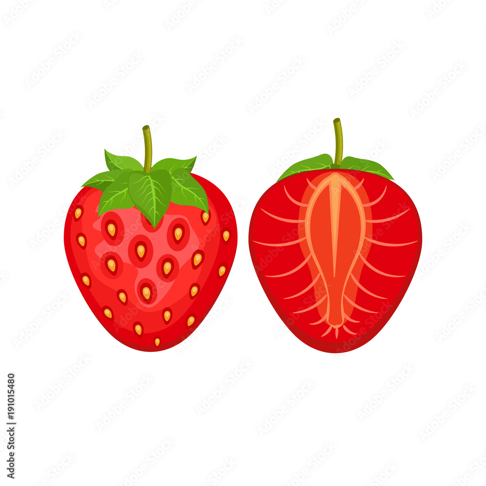 Vector Red strawberry isolated on white background. Vector Red strawberry isolated on white background.