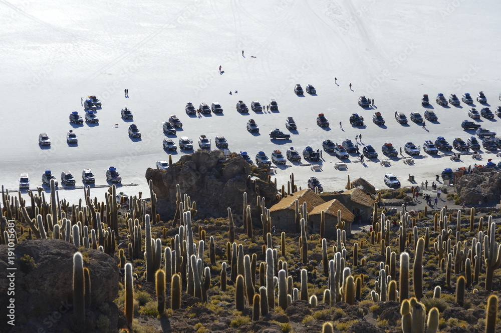 Εκτύπωση καμβά Salty desert parking
