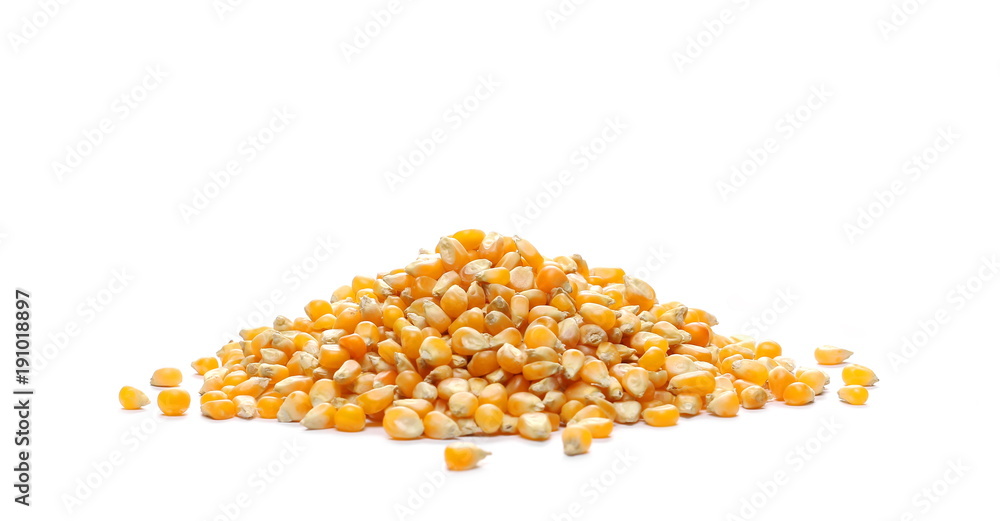 Fotografie Yellow grain corn isolated on white background, for popcorn