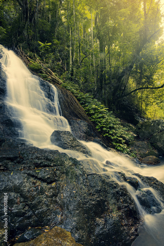 Kondalilla Falls in Kondalilla Falls National Park. photo