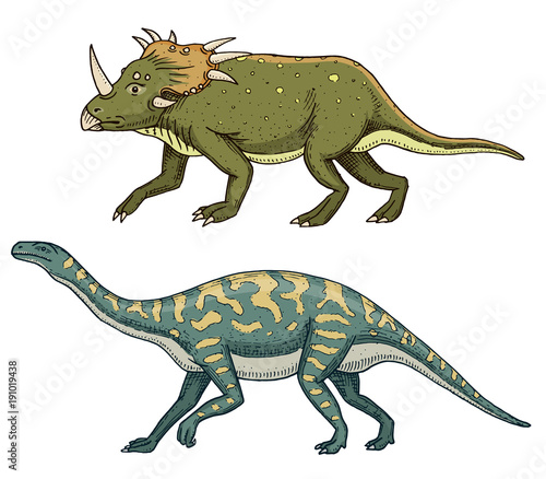 Dinosaur Triceratops, Barosaurus, Apatosaurus, Tenontosaurus Plateosaurus, broad lizard, Massospondylus, Diplodocus, Brachiosaurus, skeletons, fossils. Prehistoric reptiles, Animal Hand drawn vector © artbalitskiy