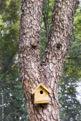 Yellow wooden birdhouse on a tree.