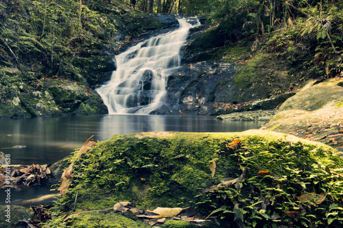 Kondalilla Falls in Kondalilla Falls National Park.