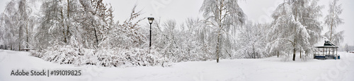 Panorama of winter landscape in park © Sergey Ryzhov