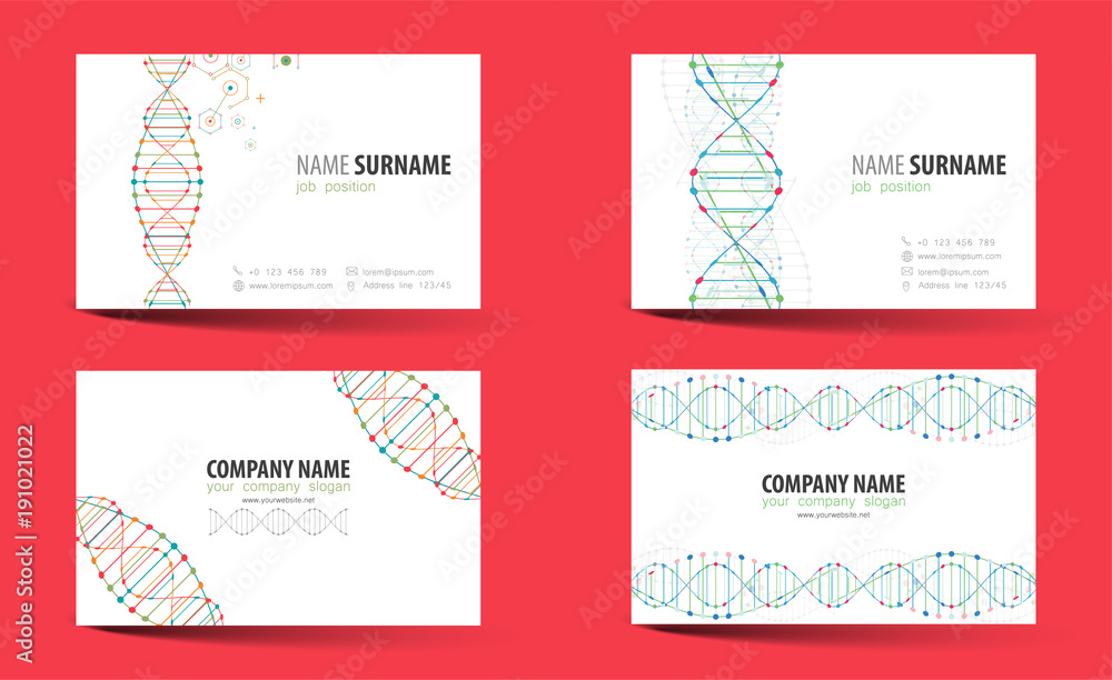 Creative double-sided business card  template. DNA theme.