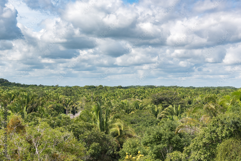 Kohunlich ist ein archäologischer Fundplatz der Maya aus dem präkolumbischen Mesoamerika
