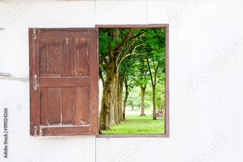 window with green park view