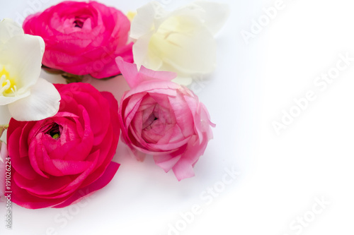 Spring flowers. Pink flowers on white wooden background. Flat lay  top view