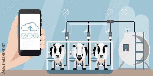 Internet of things on dairy farm. Herd management and automatic milking. Vector illustration