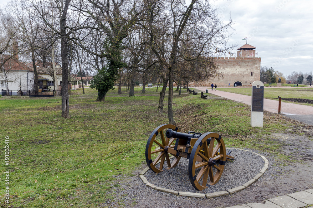 Fototapeta premium Gyula castle